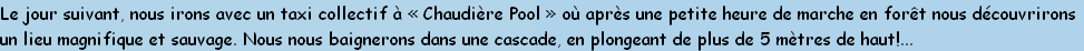 Le jour suivant, nous irons avec un taxi collectif à «&nbsp;Chaudière Pool&nbsp;» où après une petite heure de marche en forêt nous découvrirons
un lieu magnifique et sauvage. Nous nous baignerons dans une cascade, en plongeant de plus de 5 mètres de haut!...