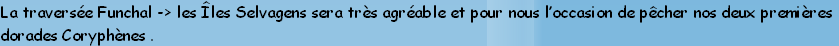 La traversée Funchal -> les Îles Selvagens sera très agréable et pour nous l’occasion de pêcher nos deux premières
dorades Coryphènes .