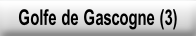 Golfe de Gascogne (3).