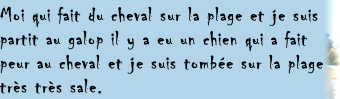 Moi qui fait du cheval sur la plage et je suis
partit au galop il y a eu un chien qui a fait 
peur au cheval et je suis tombée sur la plage 
très très sale.