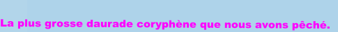  
La plus grosse daurade coryphène que nous avons pêché. 