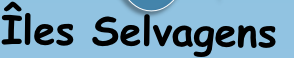 Îles Selvagens